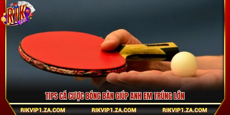 Cá Cược Bóng Bàn Rikvip – Tỷ Lệ Kèo Cạnh Tranh Mỗi Ngày 4 Bí kíp cá cược bóng bàn dễ ăn tiền