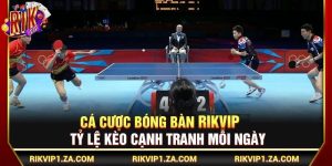 Cá Cược Bóng Bàn Rikvip – Tỷ Lệ Kèo Cạnh Tranh Mỗi Ngày